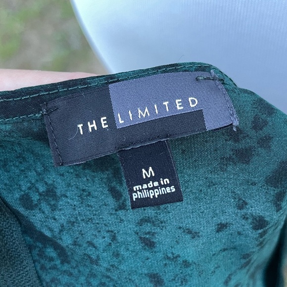 The Limited Snake Print Ombré Blouse Size Medium - Picture 3 of 4